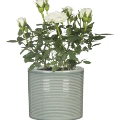 Ruukku Scheurich 828 12 cm salvianvihreä